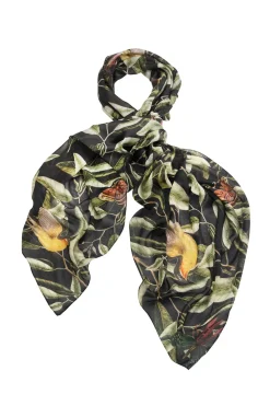 Clearance One Hundred Stars Kew Evergreen Black Scarf